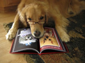It's a dog wearing glasses reading a book about dogs.